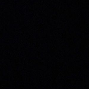 Meet your Posher, Dylan